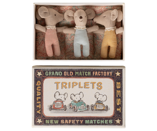 Triplets, Baby mice in matchbox