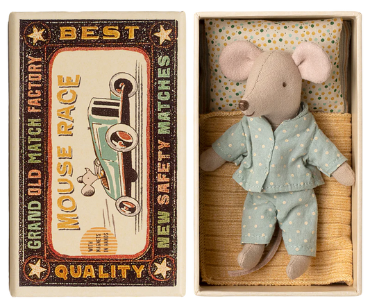 Little brother mouse in matchbox