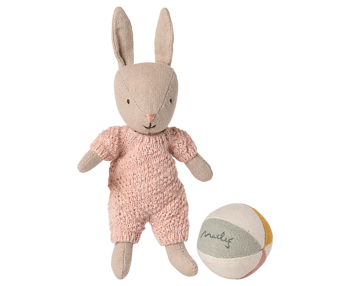 Rabbit set, Micro - Brown - Blue