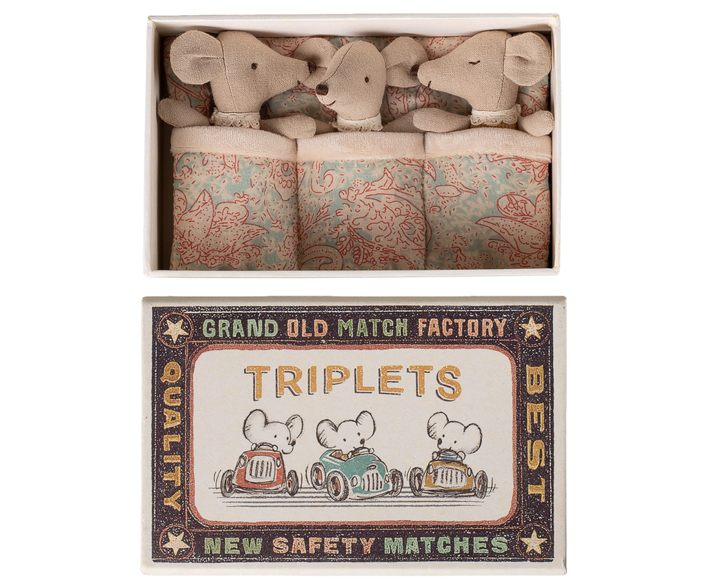Triplets, Baby mice in matchbox