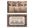 Triplets, Baby mice in matchbox