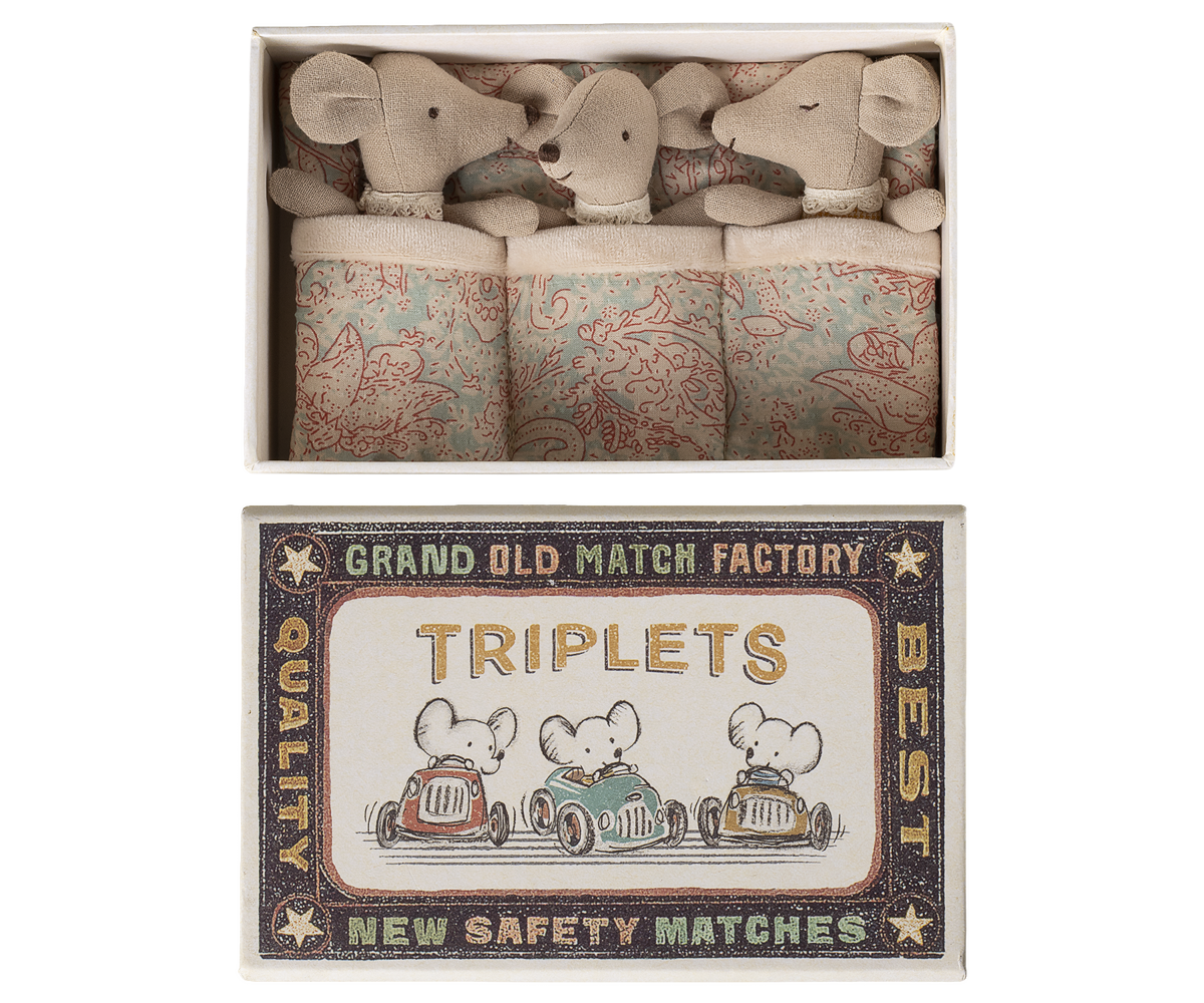 Triplets, Baby mice in matchbox