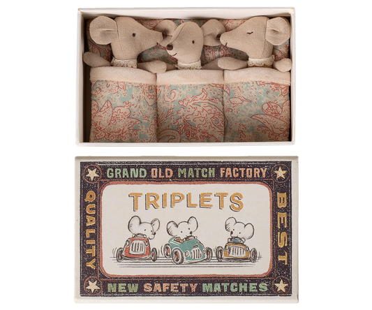 Triplets, Baby mice in matchbox