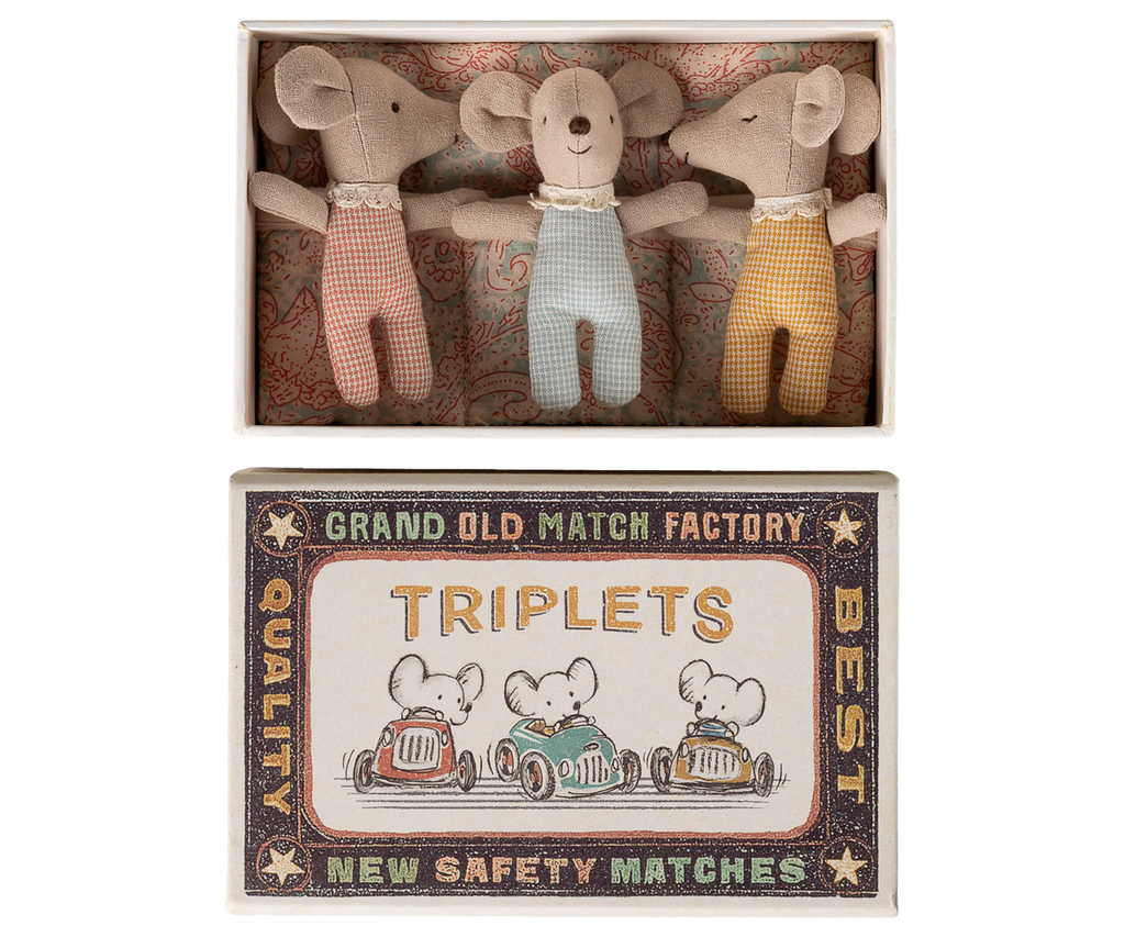 Triplets, Baby mice in matchbox