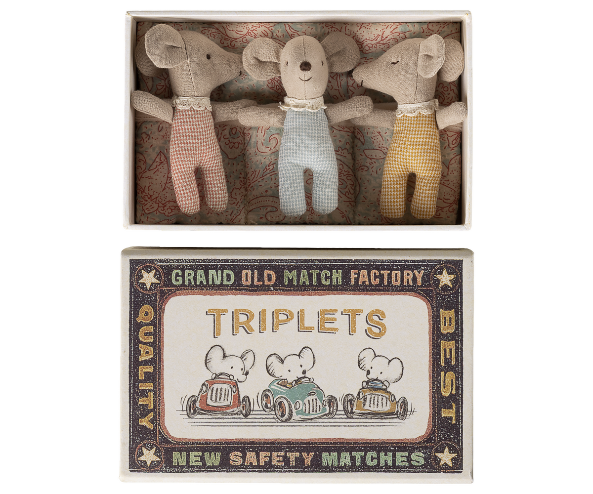 Triplets, Baby mice in matchbox